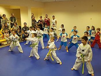 Αθλητικές δραστηριότητες: Tae Kwon Do